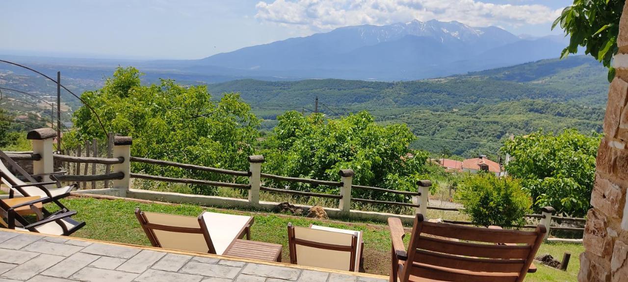 Dimitra'S Villas เอลาโตโครีออน ภายนอก รูปภาพ