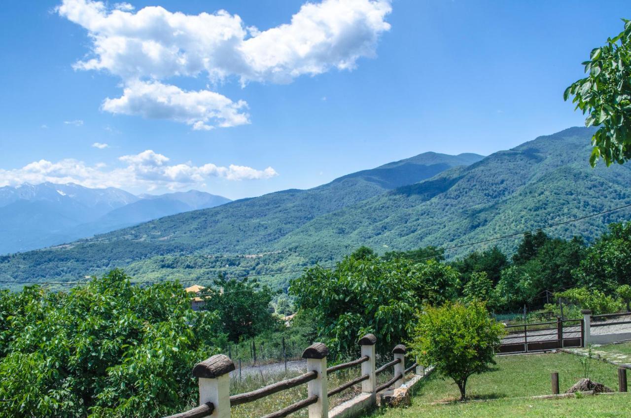 Dimitra'S Villas เอลาโตโครีออน ภายนอก รูปภาพ