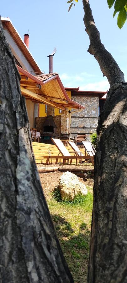 Dimitra'S Villas เอลาโตโครีออน ภายนอก รูปภาพ