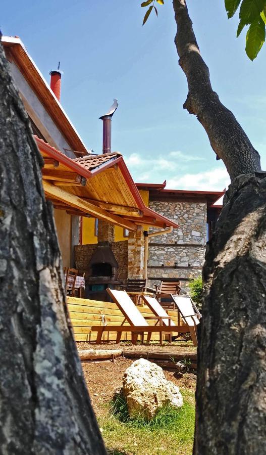 Dimitra'S Villas เอลาโตโครีออน ภายนอก รูปภาพ